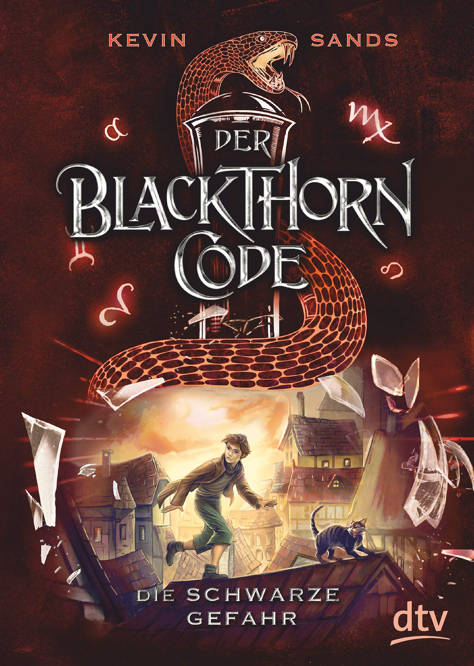 Der Blackthorn-Code - Die schwarze Gefahr Non-fiction books for kids