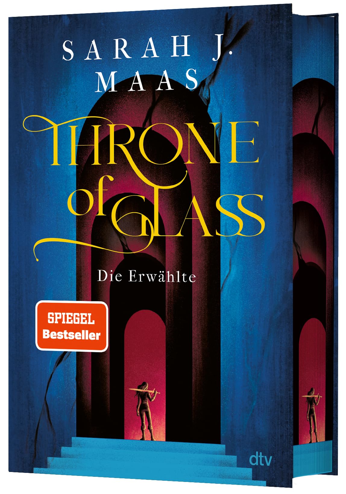 Throne of Glass - Die Erwählte Contemporary literature