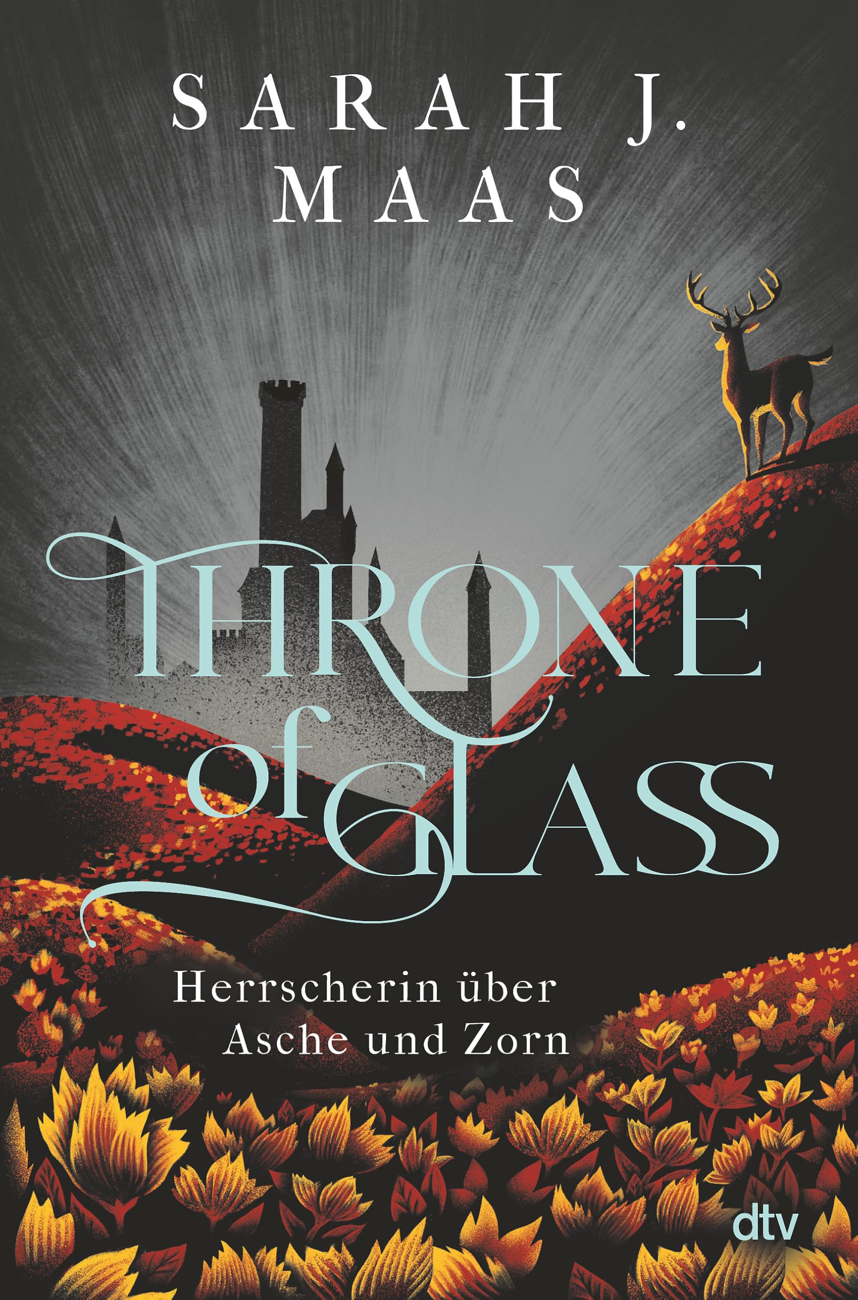 Throne of Glass - Herrscherin über Asche und Zorn Contemporary literature