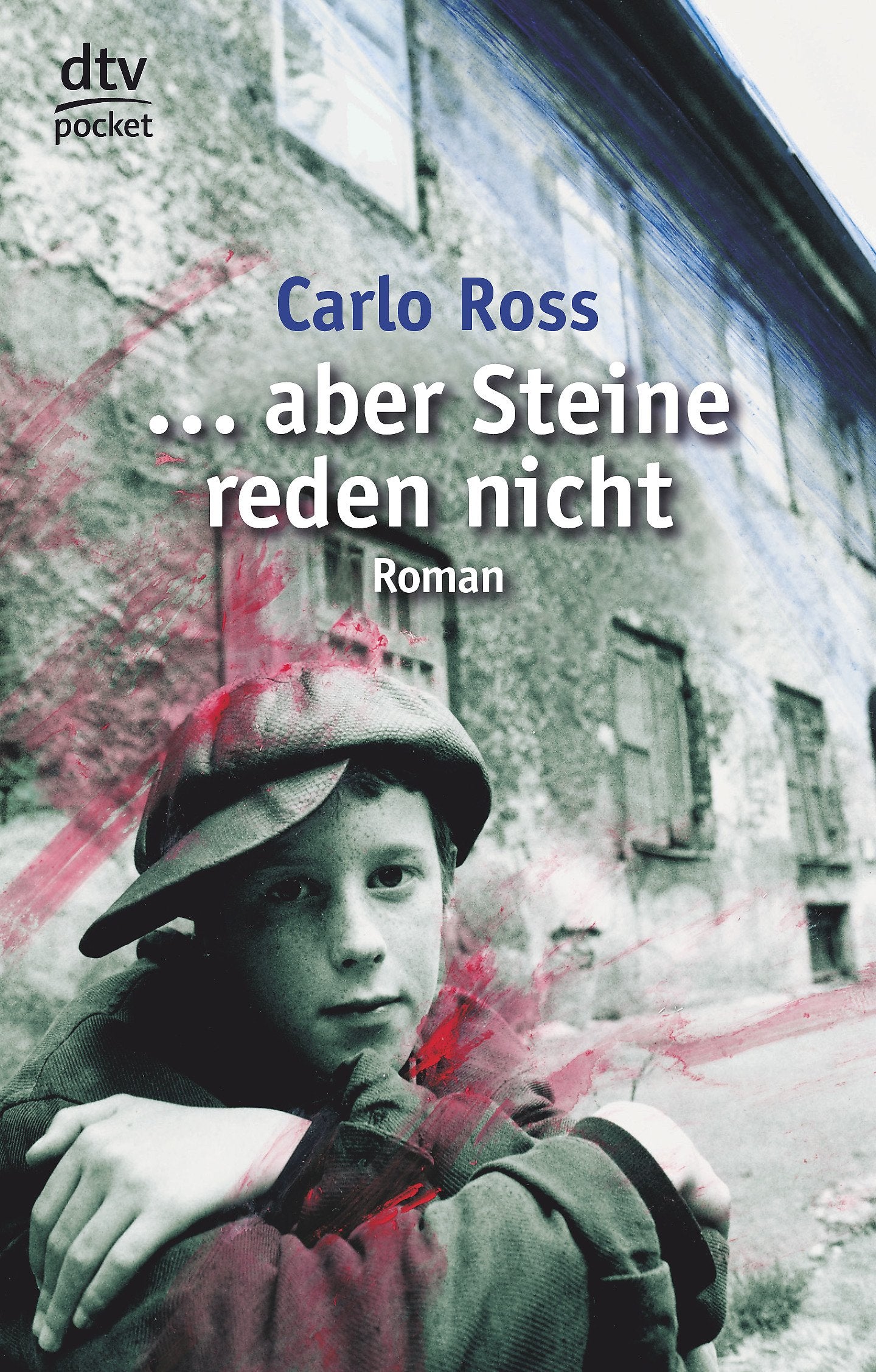 ... aber Steine reden nicht Contemporary literature