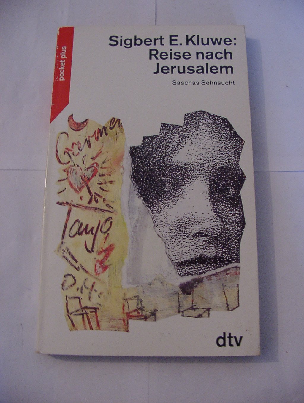 Reise nach Jerusalem: Saschas Sehnsucht (dtv pocket) Politics & History