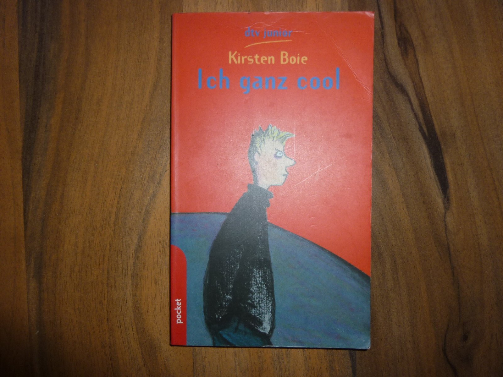 Ich ganz cool Contemporary literature
