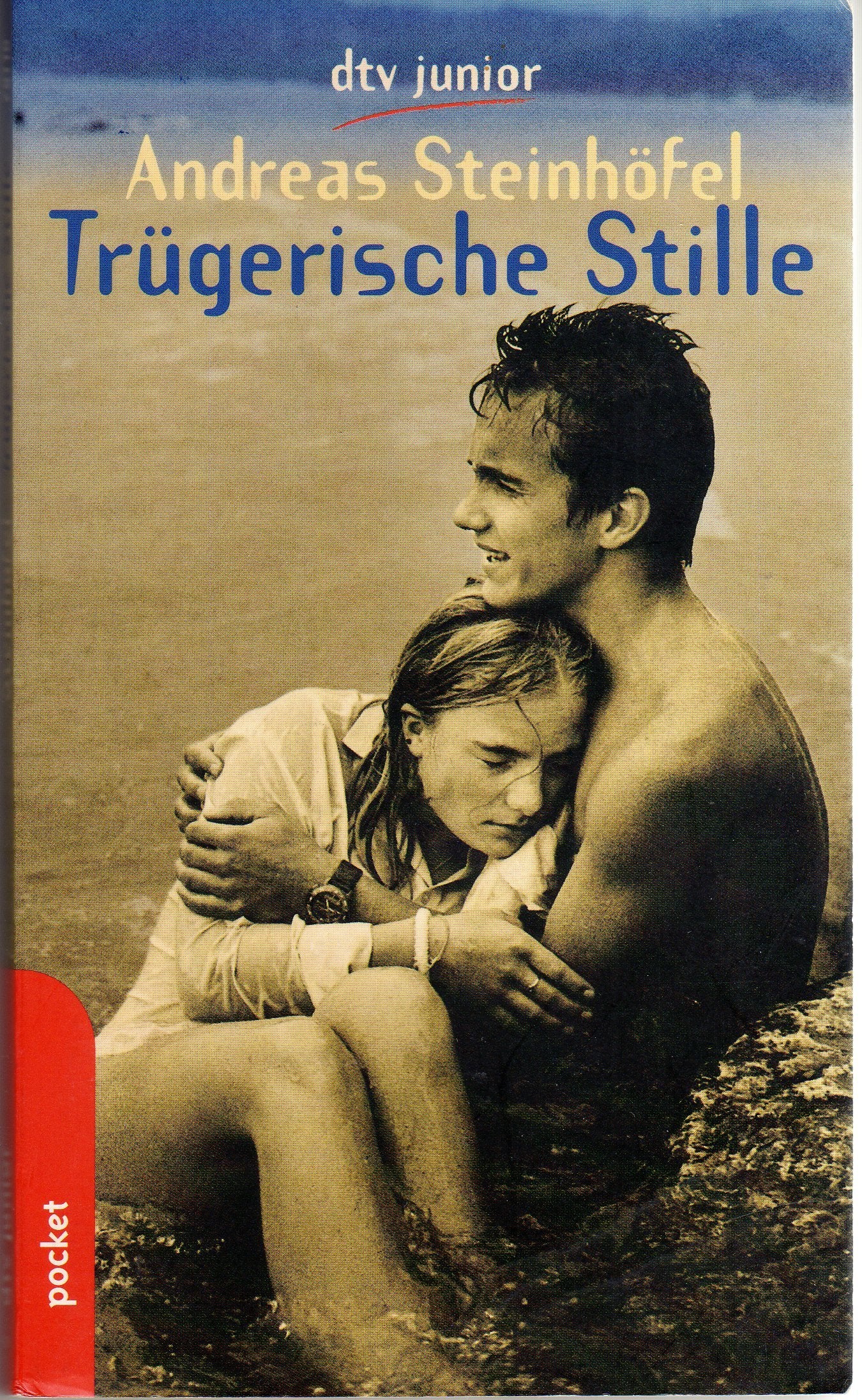 Trügerische Stille Books