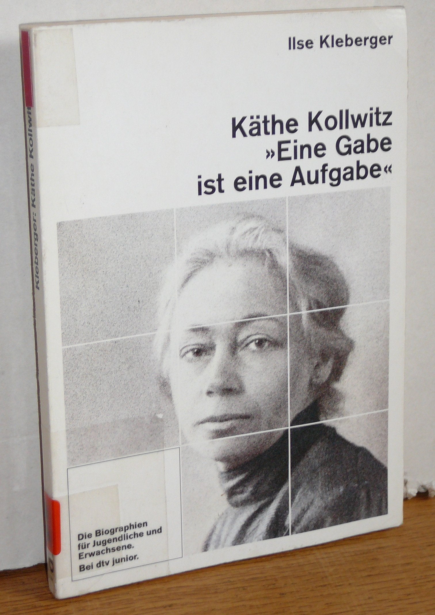 Käthe Kollwitz: "Eine Gabe ist eine Aufgabe" – Mit 66 Abbildungen (dtv junior) Film, Art & Culture