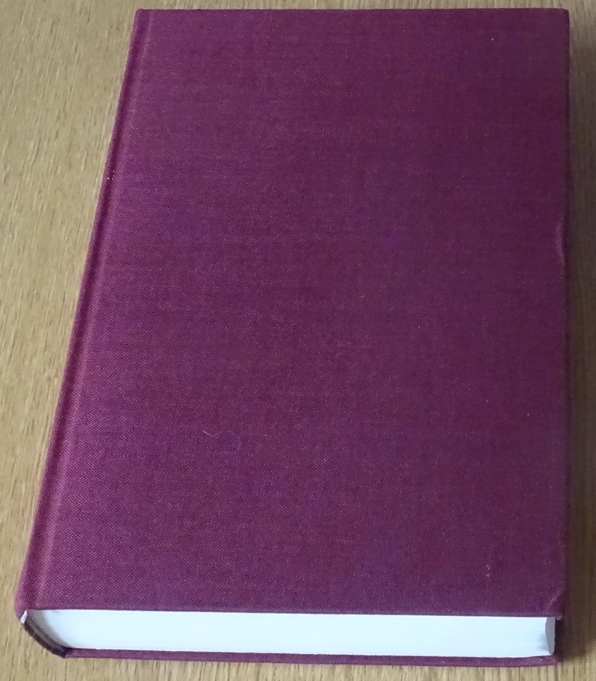 Ein florentinisches Tagebuch: 1450-1516. Nebst einer anonymen Fortsetzung 1516-1542 Memories