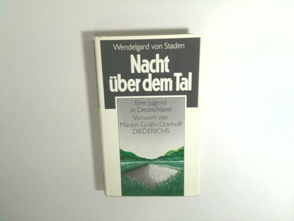 Nacht über dem Tal Fiction