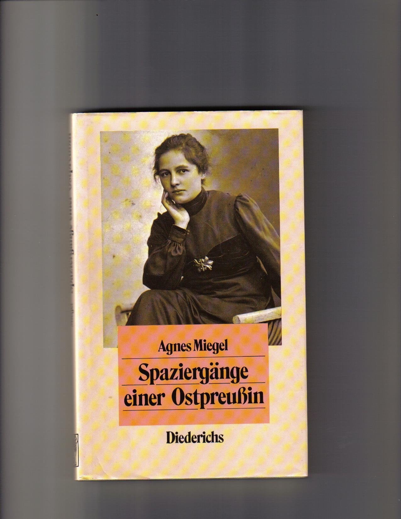 Spaziergänge einer Ostpreussin. Feuilletons aus den zwanziger Jahren Media & Communication