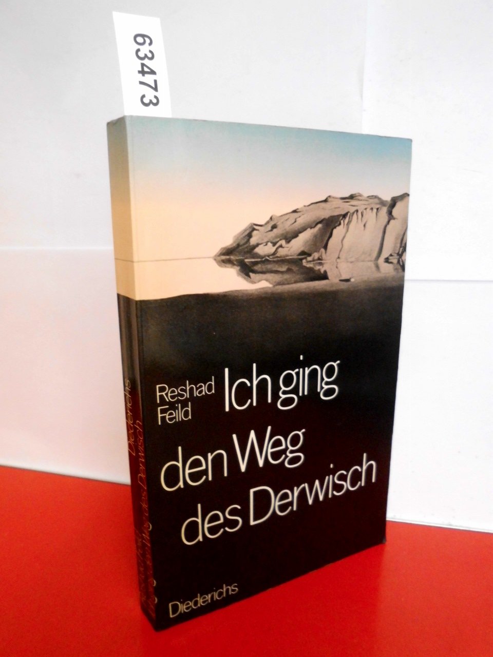Ich ging den Weg des Derwisch: Das Abenteuer der Selbstfindung Religion & Esotericism