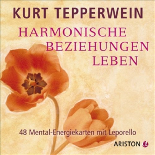 Harmonische Beziehungen leben: 48 Mental-Energiekarten mit Leporello Lifestyle