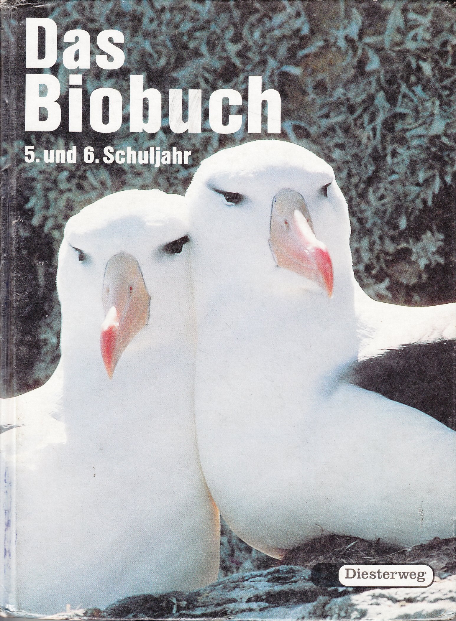 Das Biobuch, Neubearbeitung, 5. und 6. Schuljahr: Sekundarstufe I (Real- und Gesamtschulbereich) / 5. und 6. Schuljahr (Das Biobuch - Neubearbeitung: Sekundarstufe I (Real- und Gesamtschulbereich)) Learning & Reference