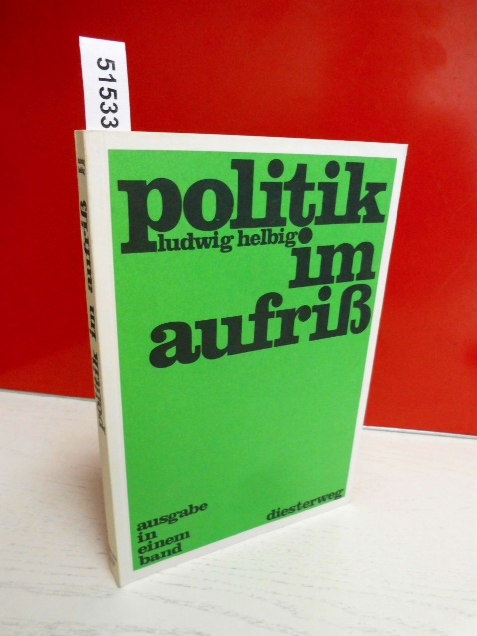 Politik im Aufriss: Quellen- und Arbeitsbuch Books