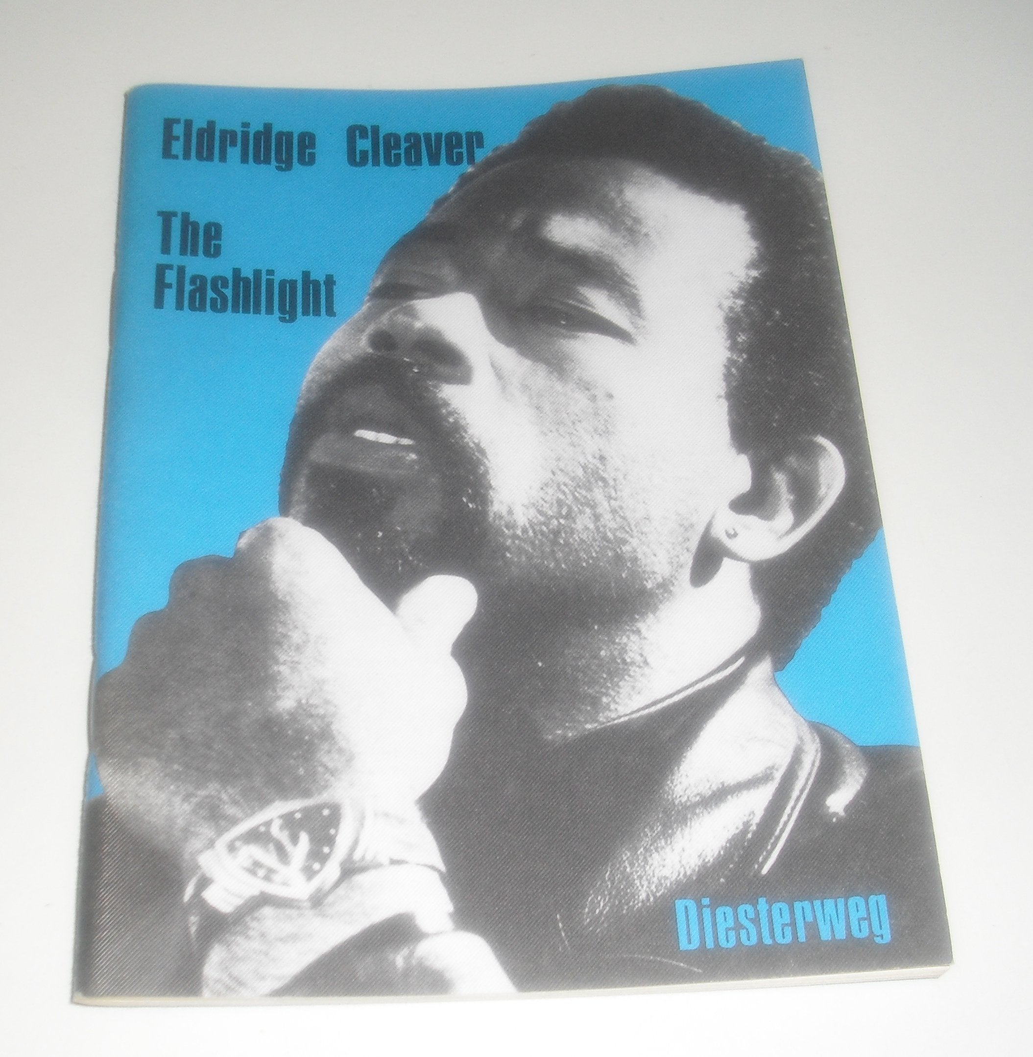 The Flashlight (Diesterwegs Neusprachliche Bibliothek - Englische Abteilung: Sekundarstufe II) Books