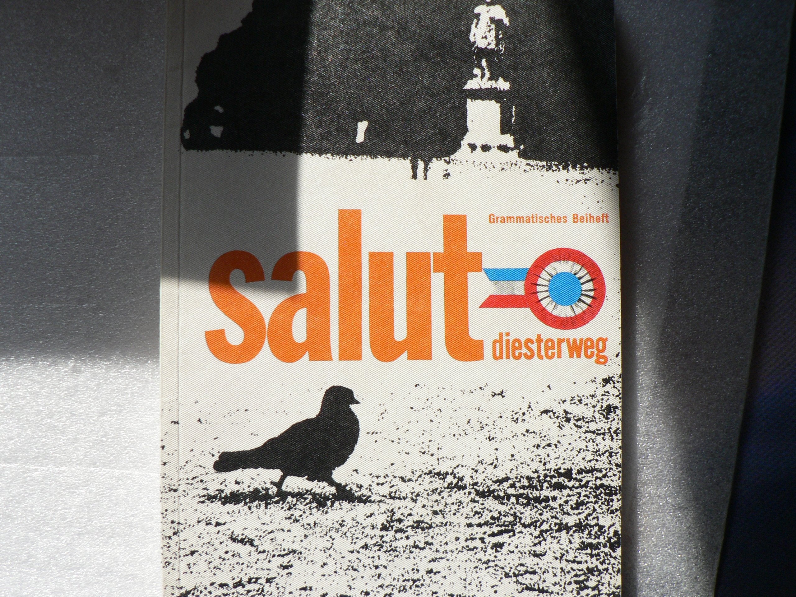 Salut - Ausgabe A: Französisches Unterrichtswerk / Grammatisches Beiheft Books