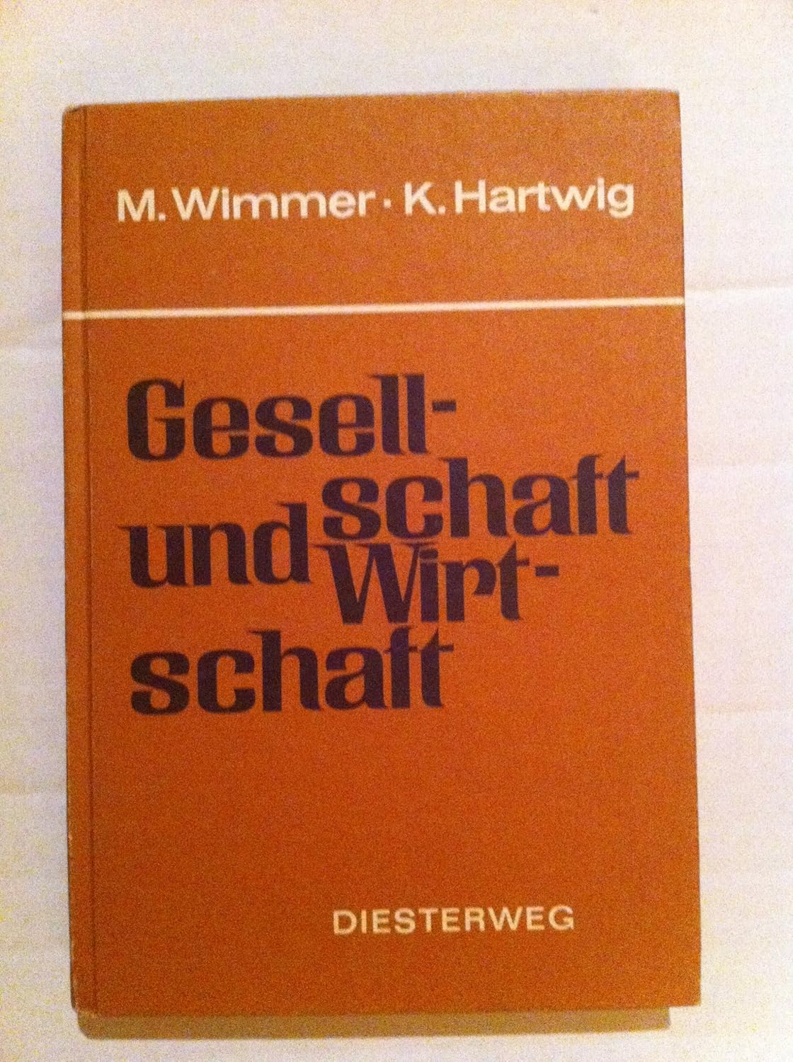 Gesellschaft und Wirtschaft Books