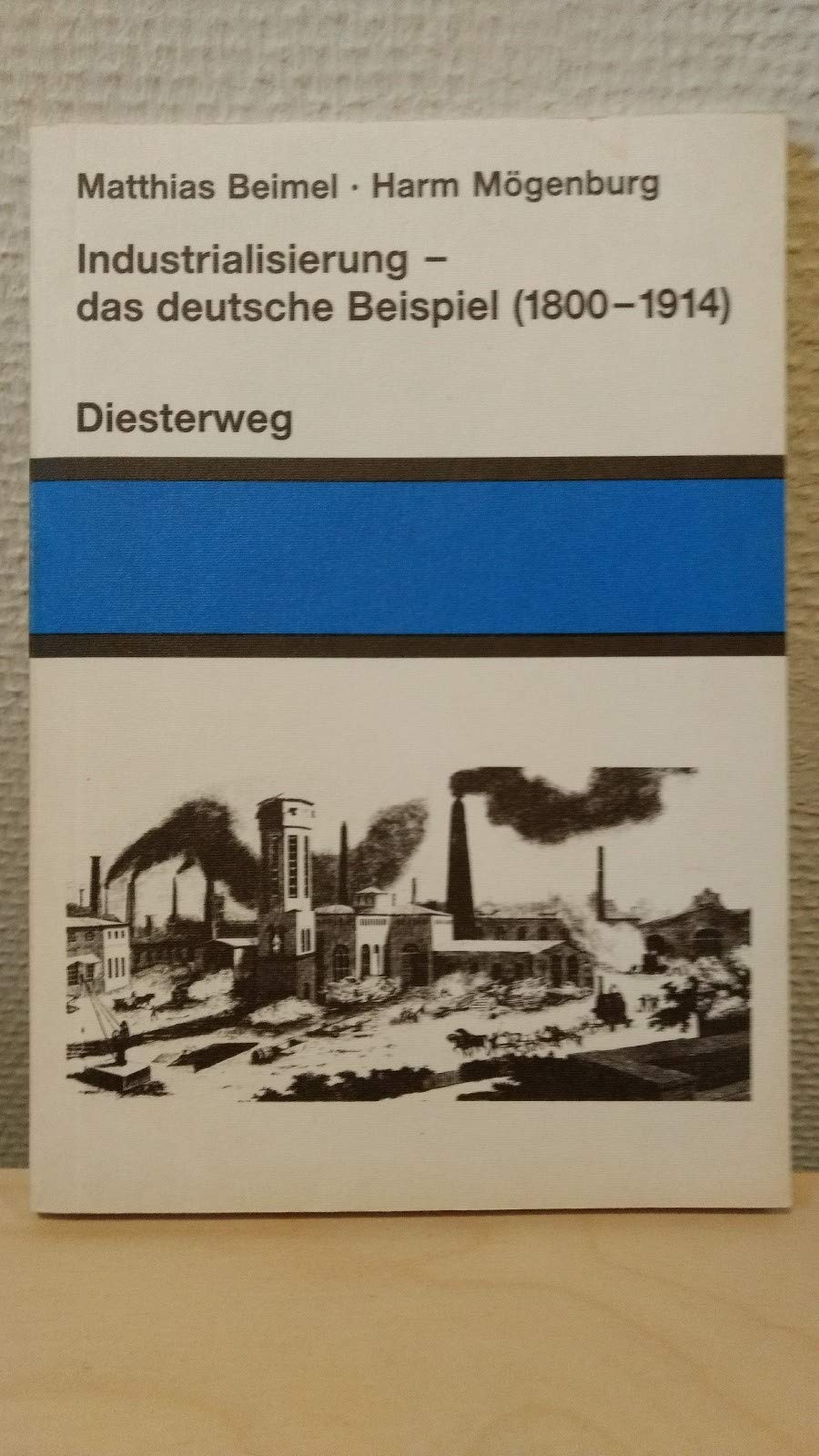 Industrialisierung - das deutsche Beispiel (1800-1914) (Schriften und Materialien zur Gemeinschaftskunde) Books