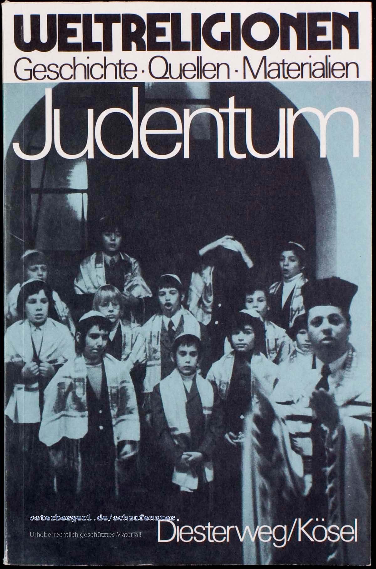 Judentum (Weltreligionen: Geschichte - Quellen - Materialien) Books