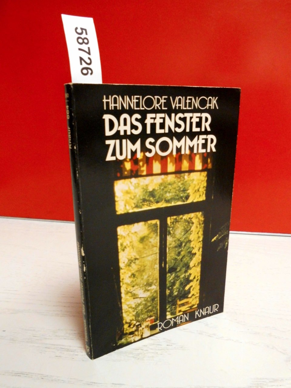 Das Fenster zum Sommer. (Knaur Taschenbücher. Romane, Erzählungen) Books