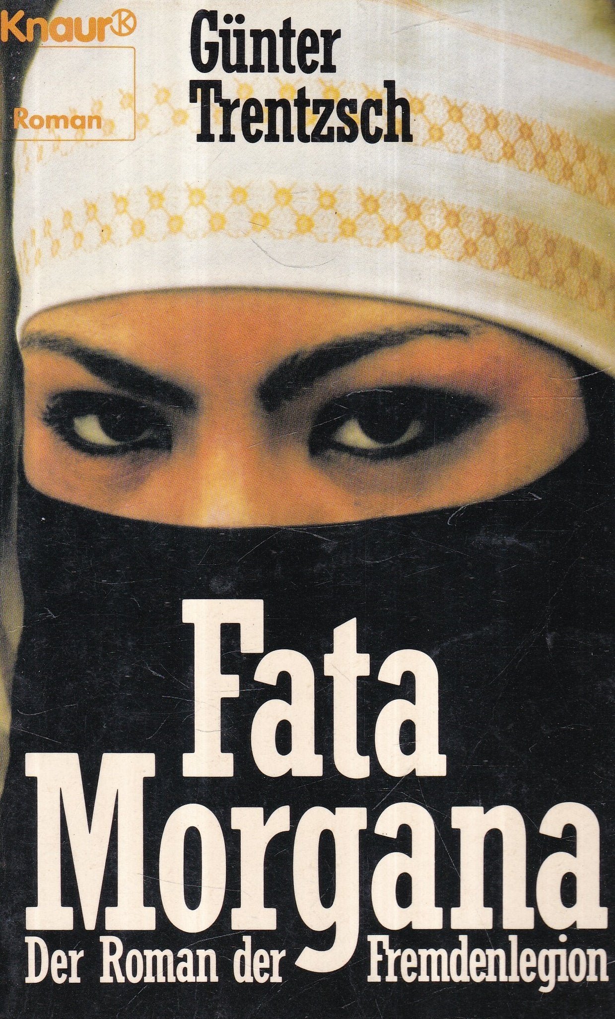Fata Morgana.Der Roman der Fremdenlegion. Books