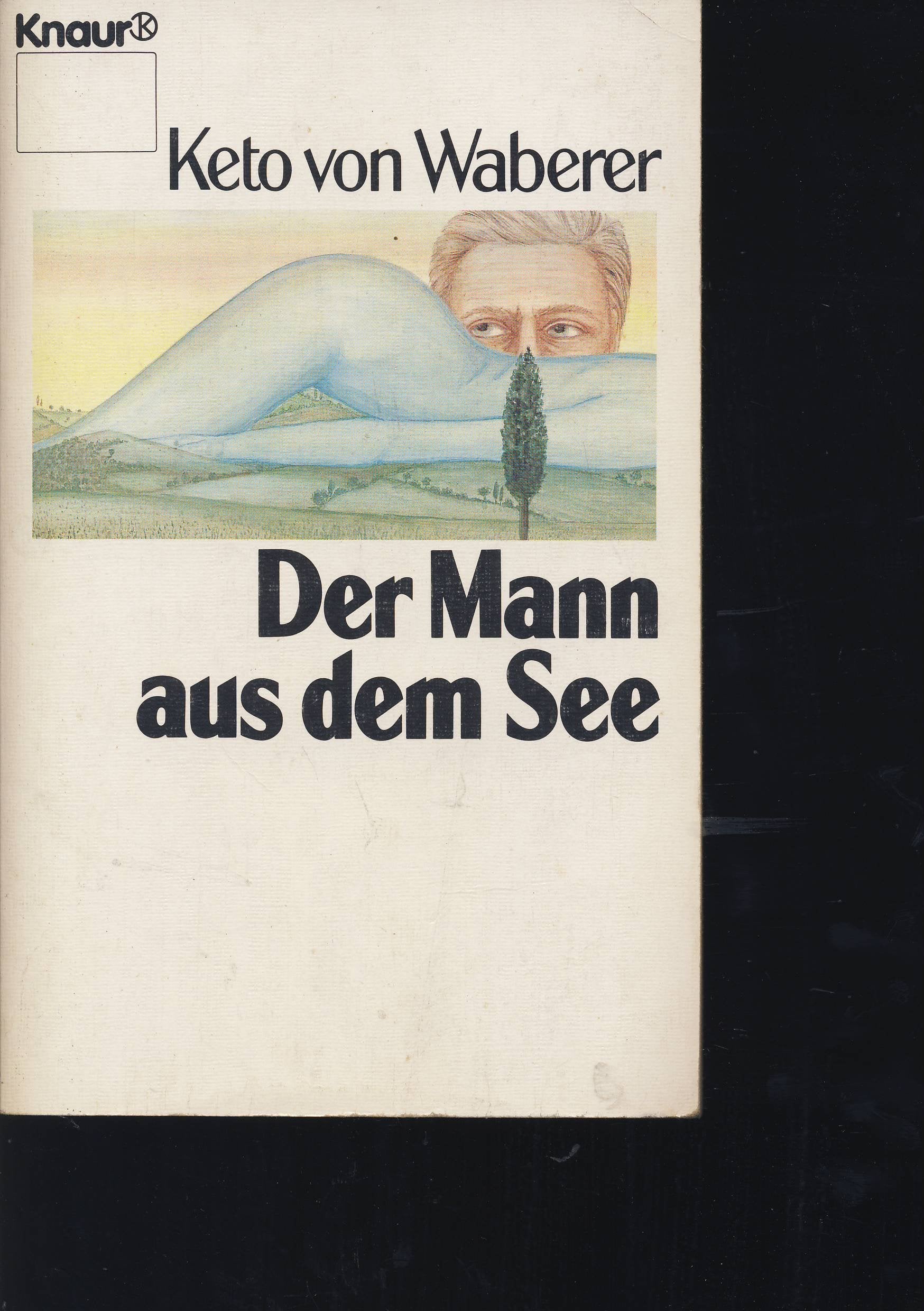 Der Mann aus dem See: Erzählungen (Knaur Taschenbücher. Romane, Erzählungen) Essays & Short Stories