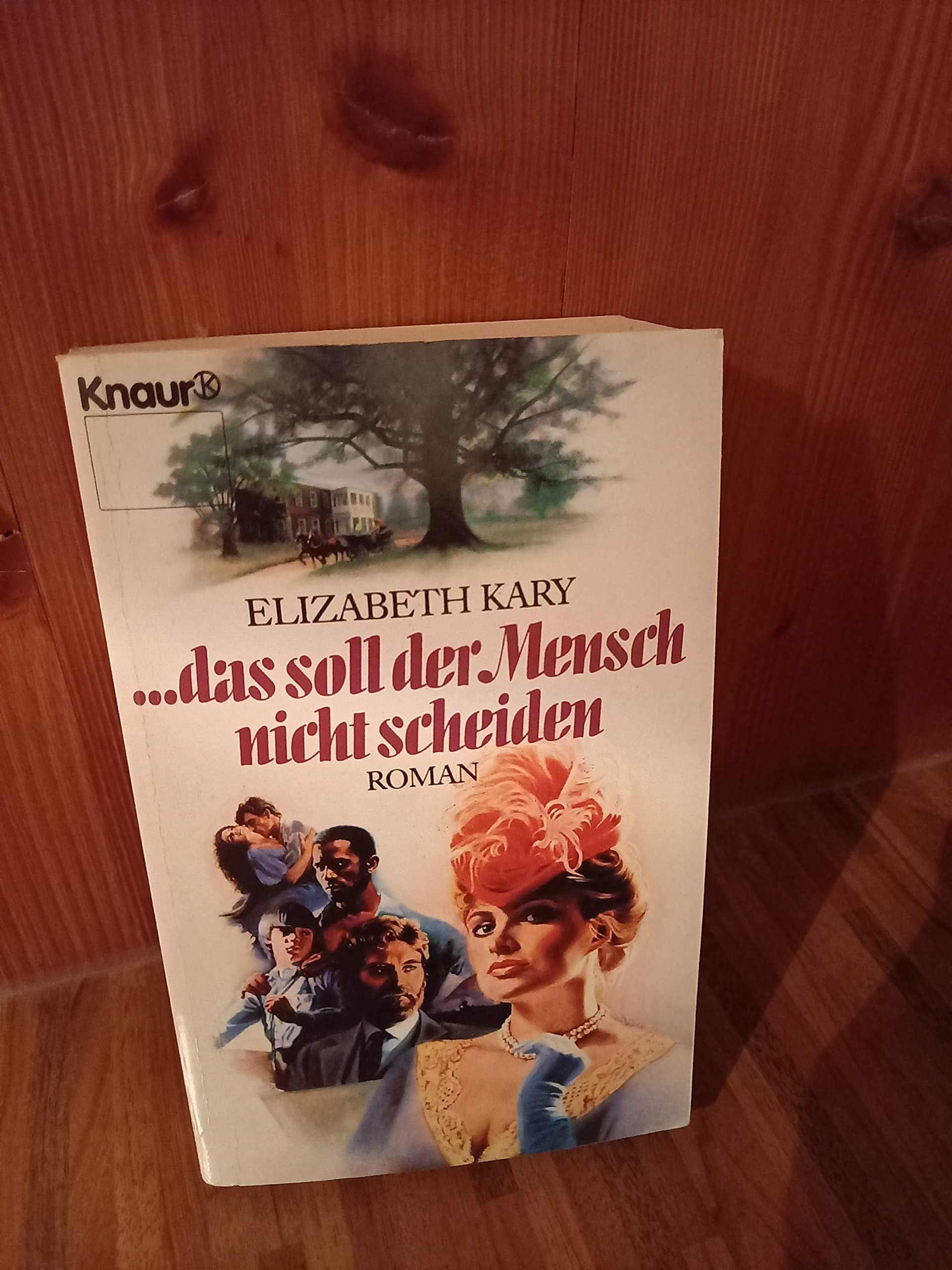 ... das soll der Mensch nicht scheiden: Roman (Knaur Taschenbücher. Romane, Erzählungen) Books
