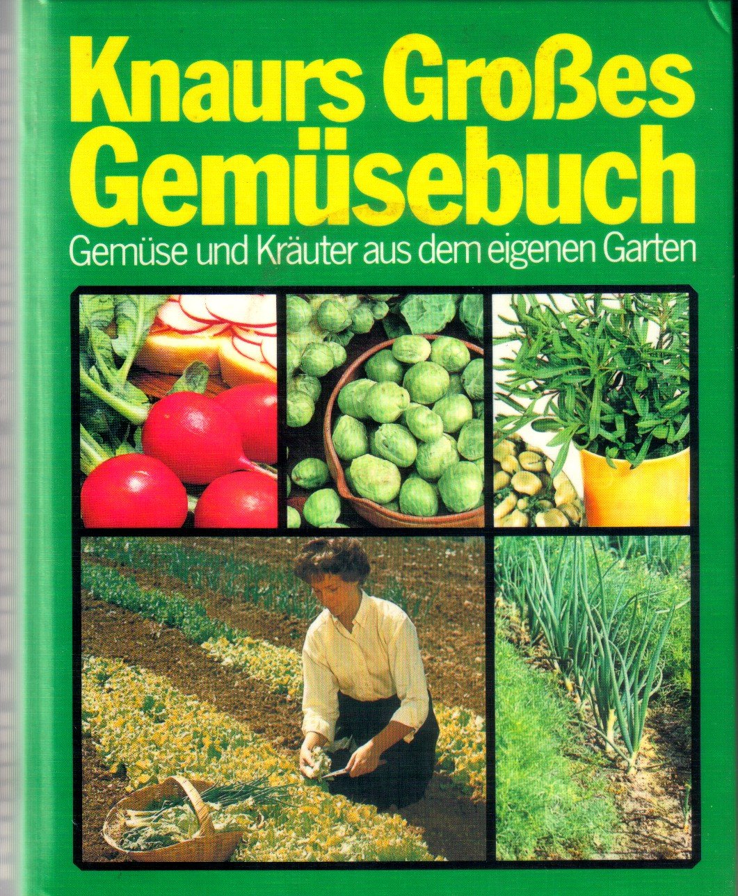 Knaurs grosses Gemüsebuch : Gemüse u. Kräuter aus d. eigenen Garten. book