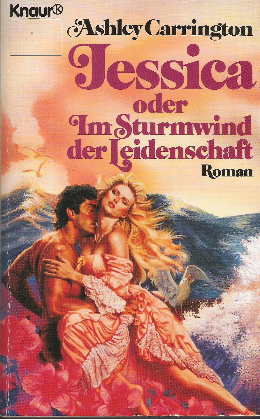 Jessica oder Im Sturmwind der Leidenschaft (Knaur Taschenbücher. Romane, Erzählungen) Books