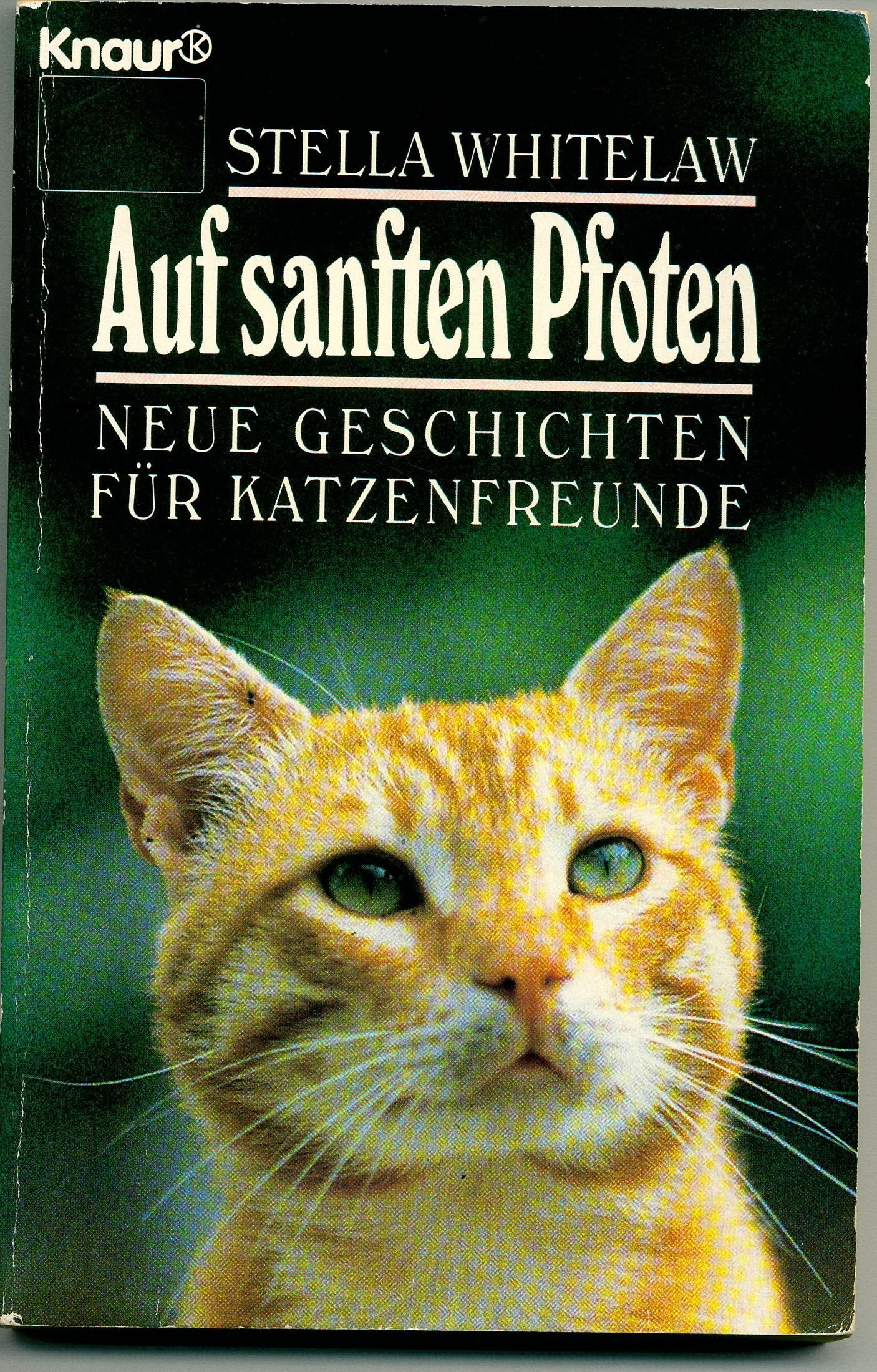 Auf sanften Pfoten: Neue Geschichten für Katzenfreunde (Knaur Taschenbücher. Romane, Erzählungen) Books