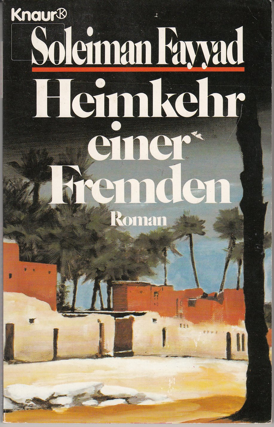 Heimkehr einer Fremden: Roman (Knaur Taschenbücher. Starke Seiten für Frauen) Books