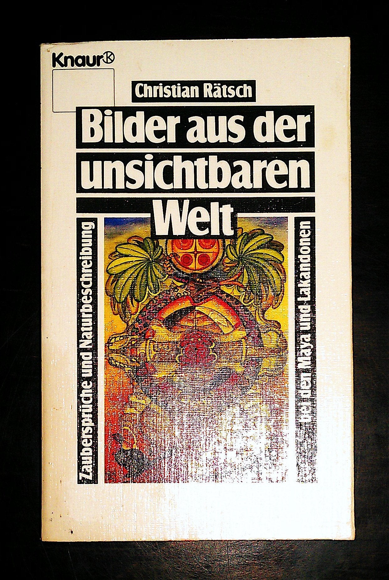 Bilder aus der unsichtbaren Welt: Zaubersprüche und Naturbeschreibung bei den Maya und Lakadonen (Knaur Taschenbücher. Sachbücher) General education