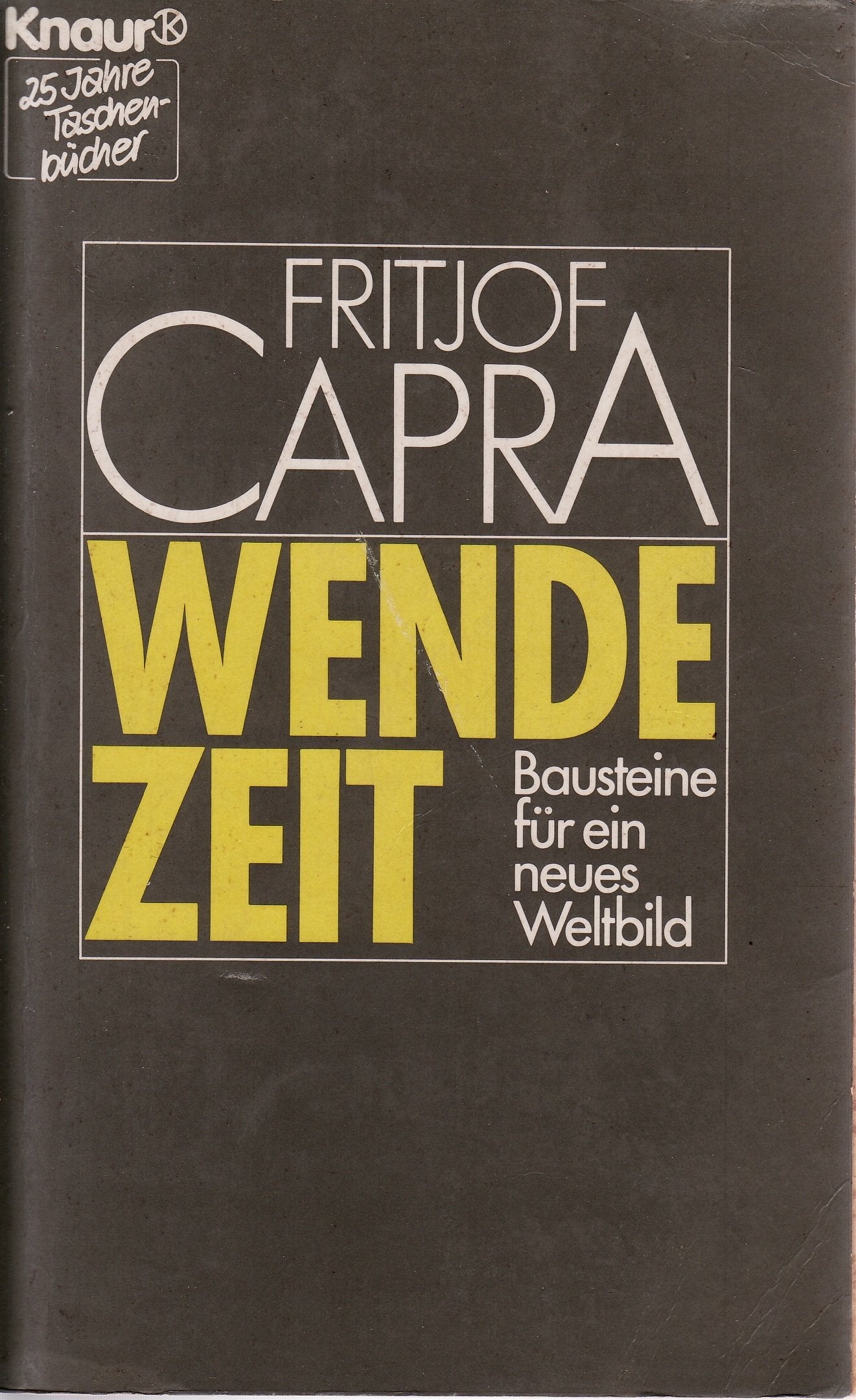 Wendezeit: Bausteine für ein neues Weltbild (Knaur Taschenbücher. Sachbücher) Philosophy