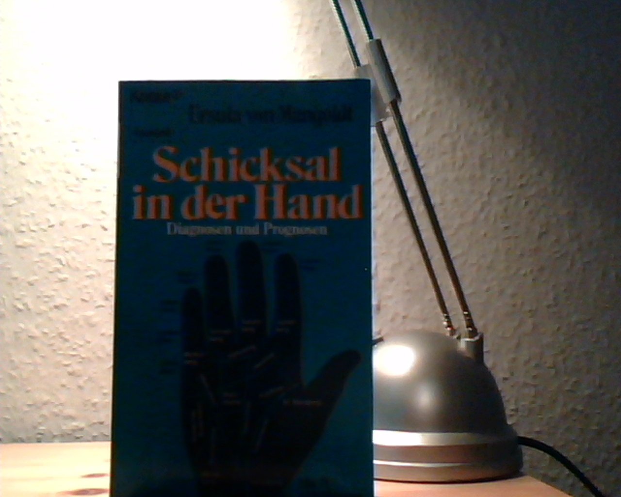 Schicksal in der Hand. Diagnosen und Prognosen. (Knaur Taschenbücher. Esoterik) Books