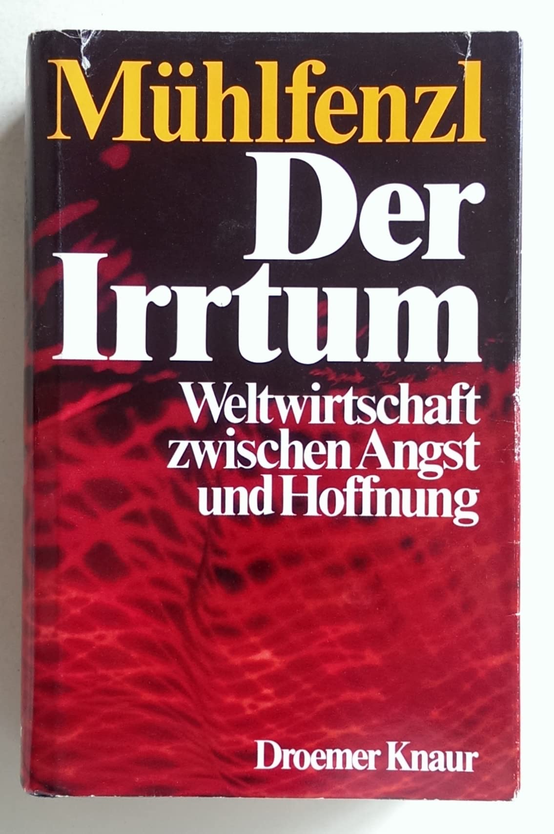Der Irrtum. Weltwirtschaft zwischen Angst und Hoffnung Business & Technology