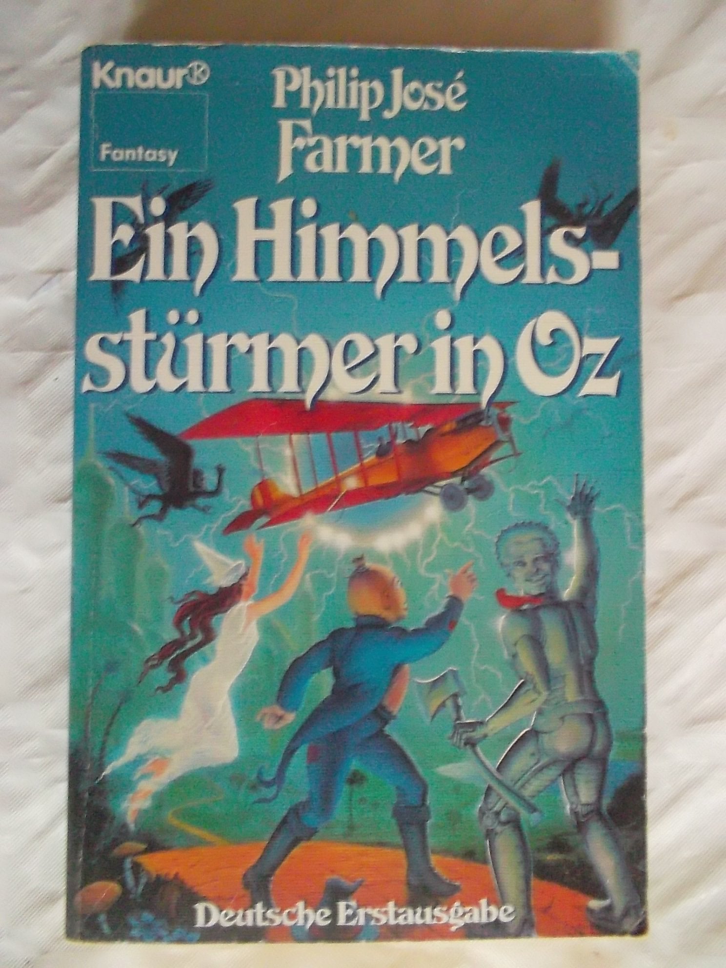 Ein Himmelsstuermer in Oz book