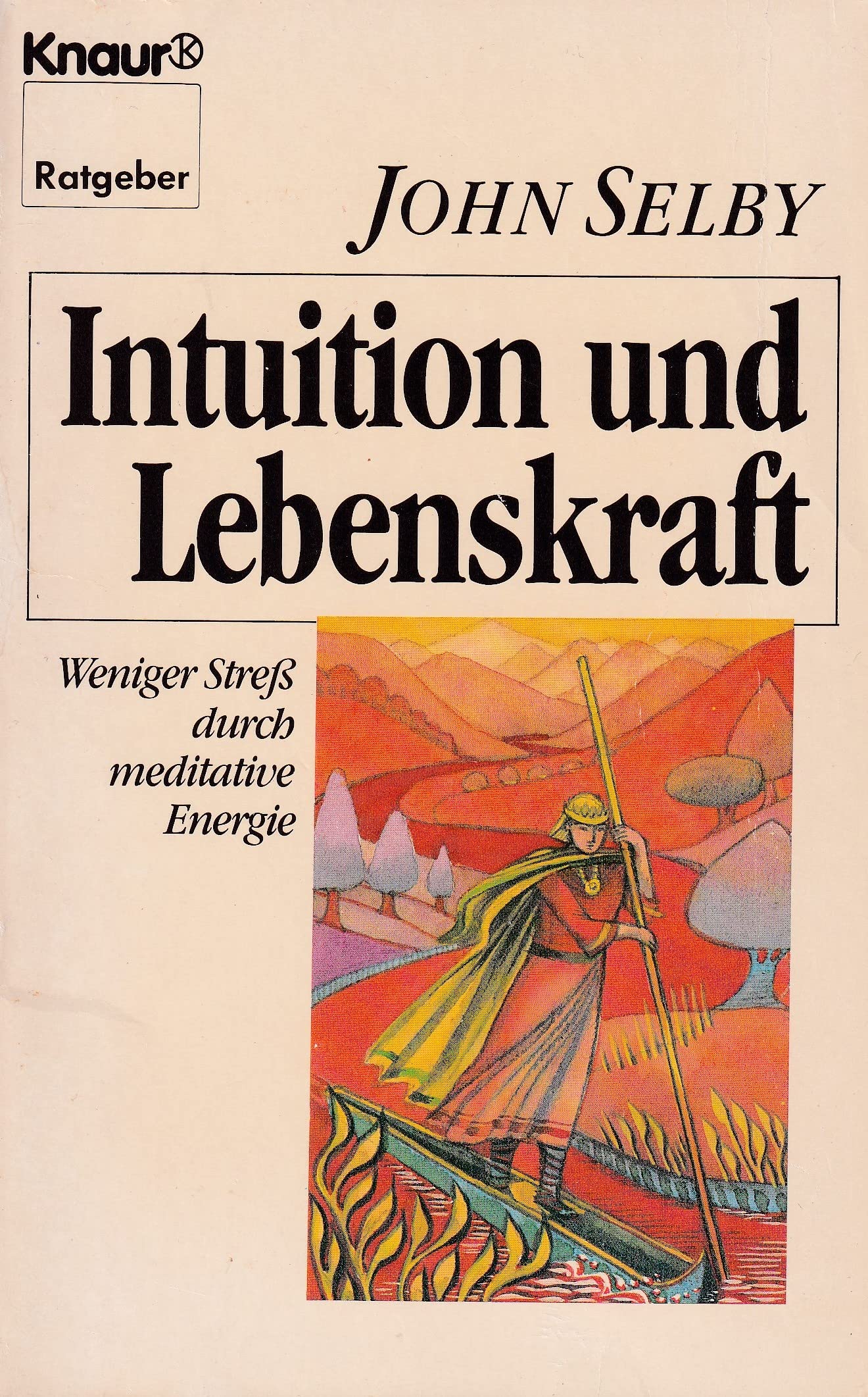 Intuition und Lebenskraft: Weniger Stress durch meditative Energie (Knaur Taschenbücher. Ratgeber) Lifestyle