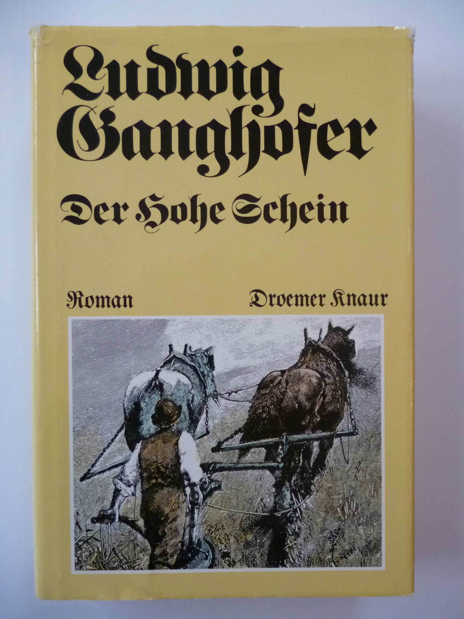 Product Image: Der hohe Schein