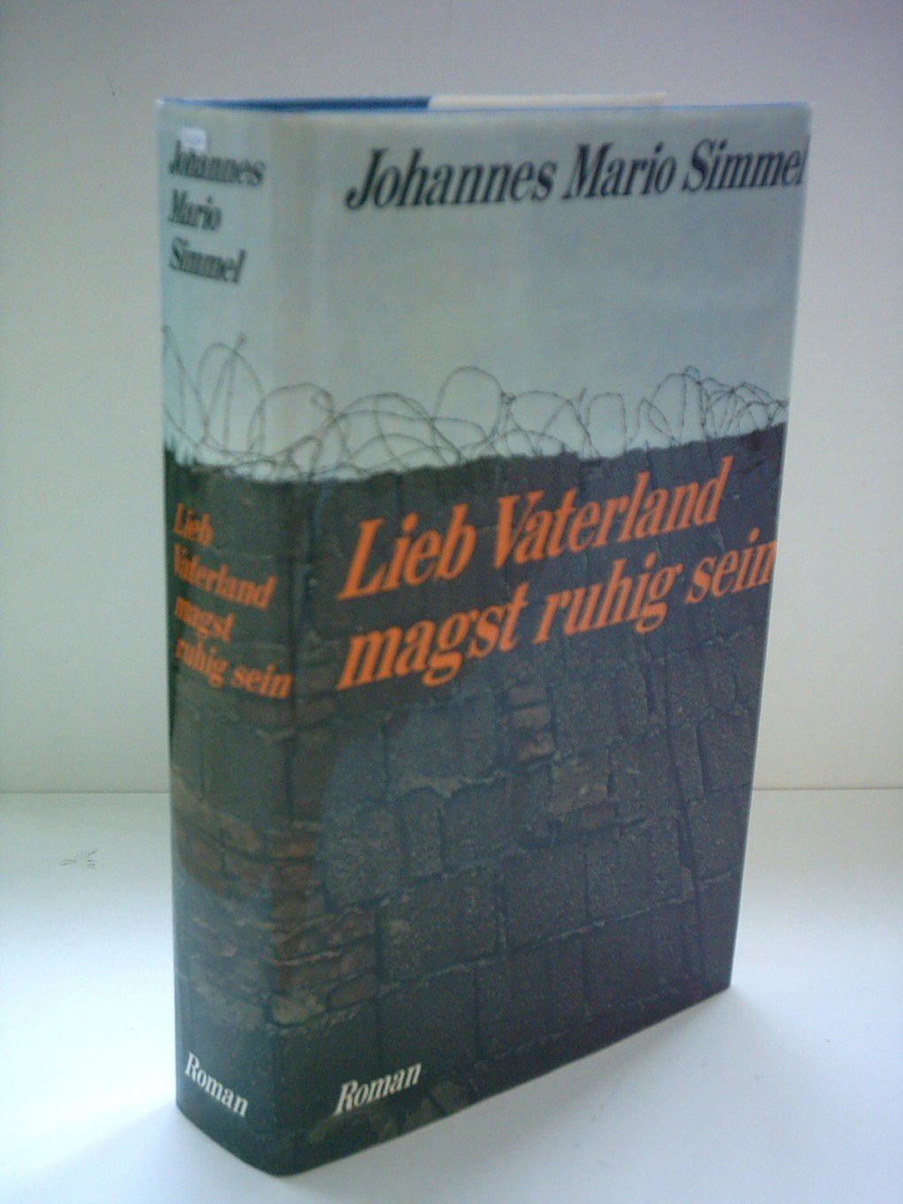 Lieb Vaterland magst ruhig Sein - Roman Contemporary literature