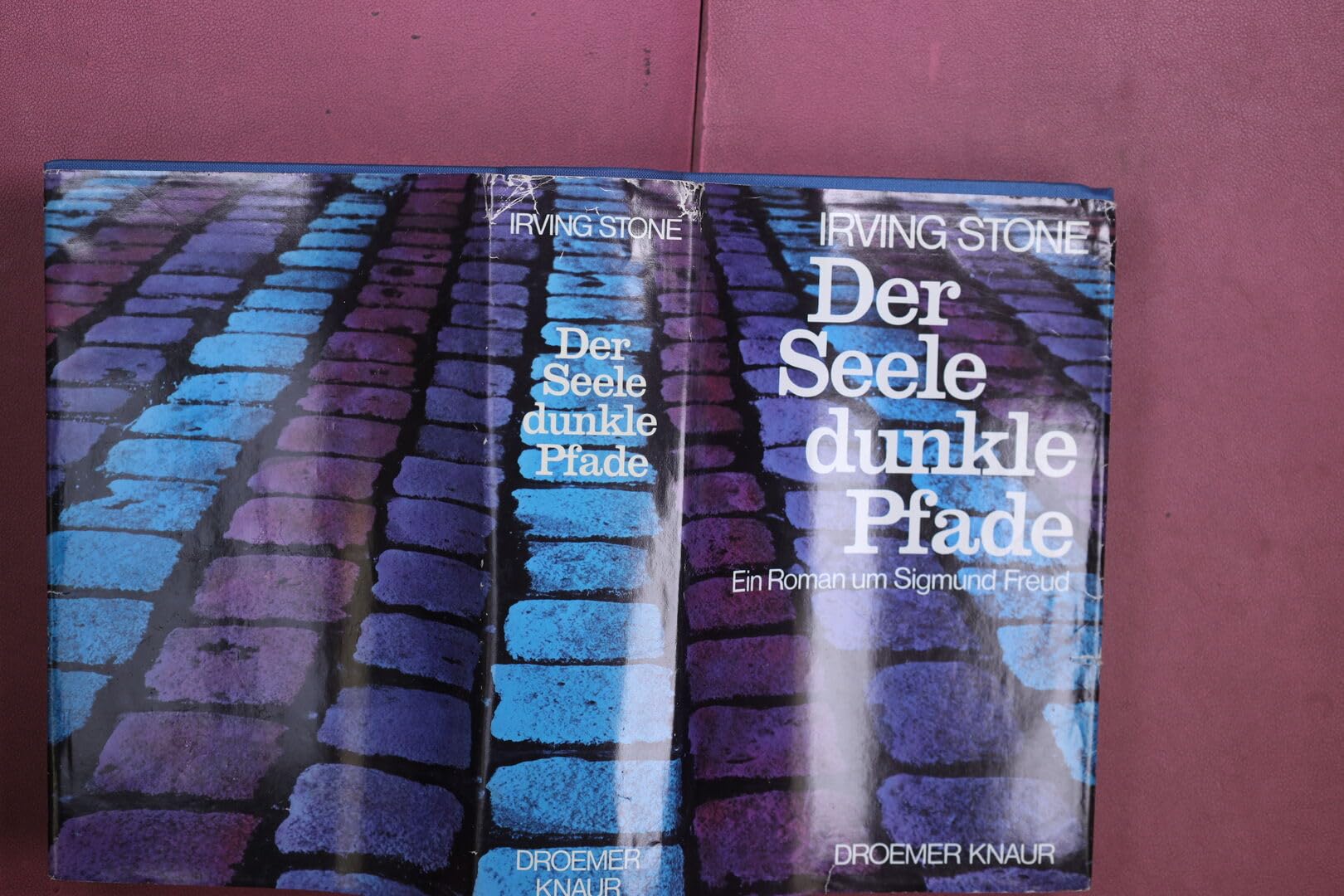 Der Seele dunkle Pfade: Ein Roman um Sigmund Freud Books