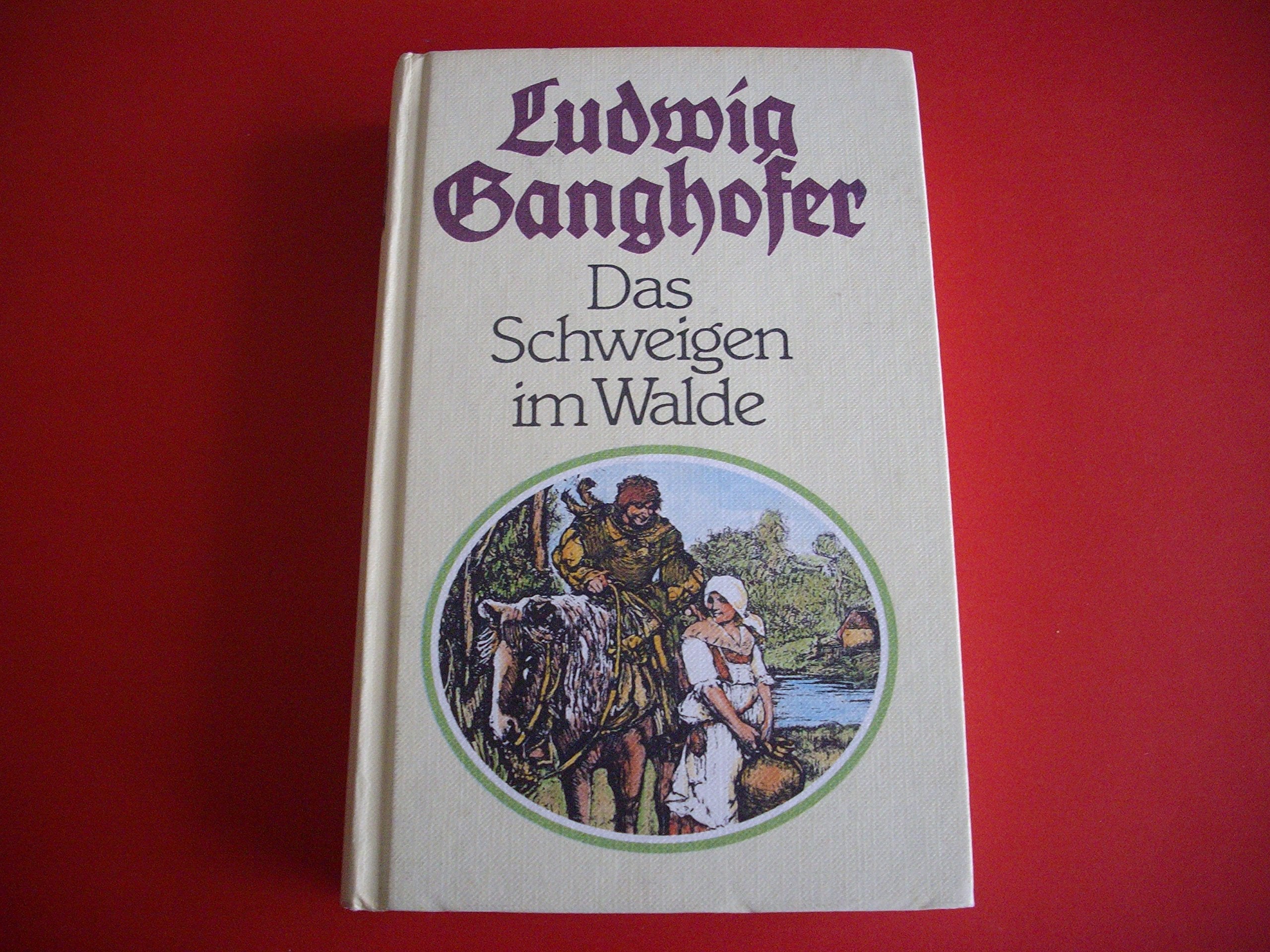 Das Schweigen im Walde: Grossdruck Contemporary literature