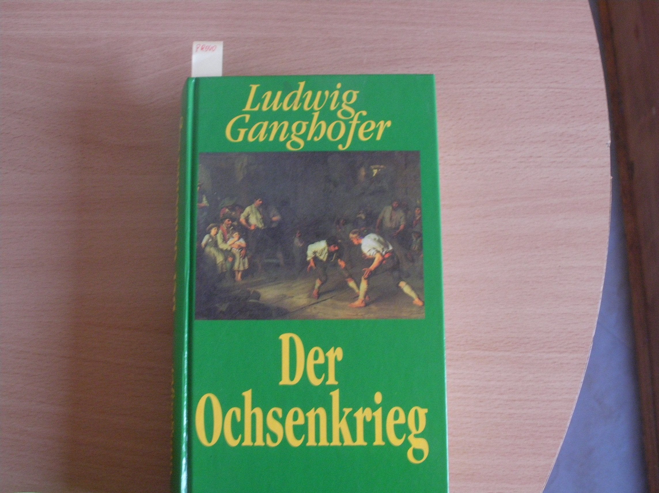 Der Ochsenkrieg: Roman aus dem 15. Jahrhundert. Grossdruck Fiction