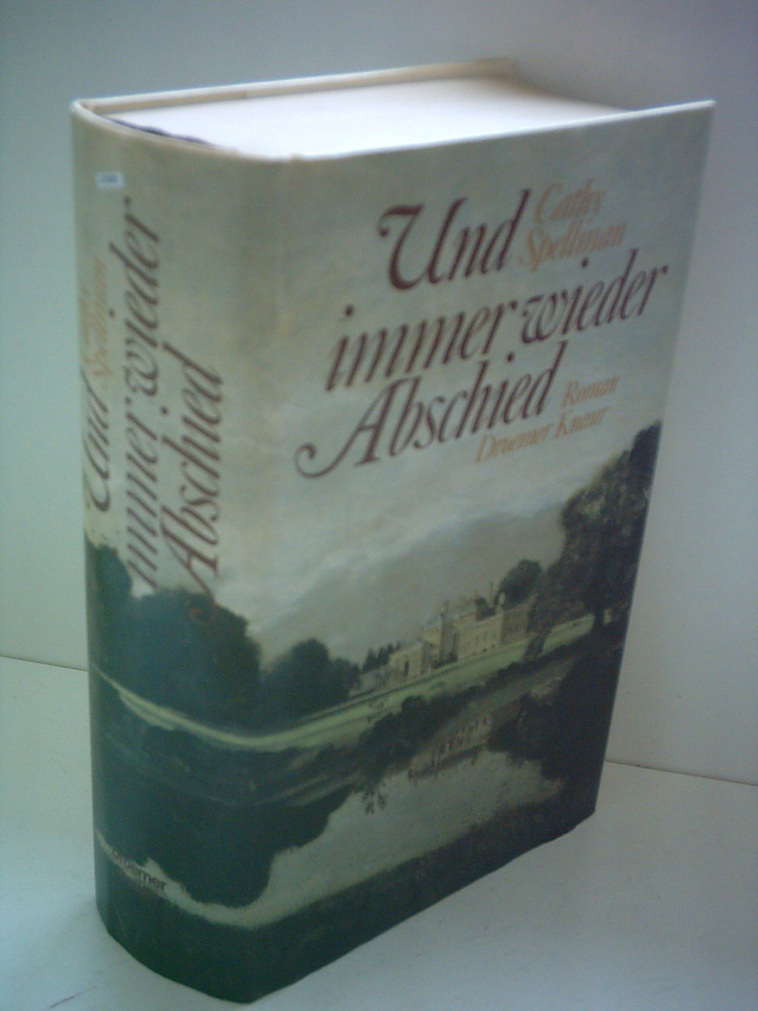 Und immer wieder Abschied: Roman Contemporary literature