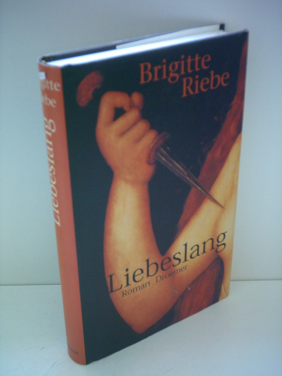 Product Image: Liebeslänglich: Roman