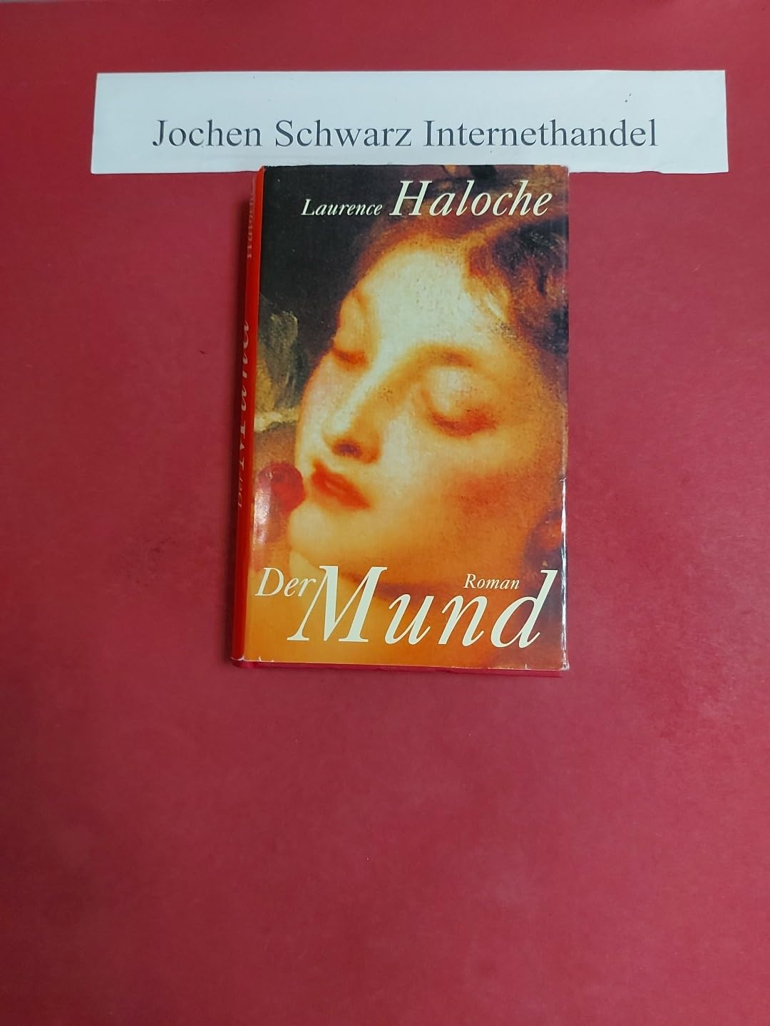 Der Mund: Roman Historical Fiction