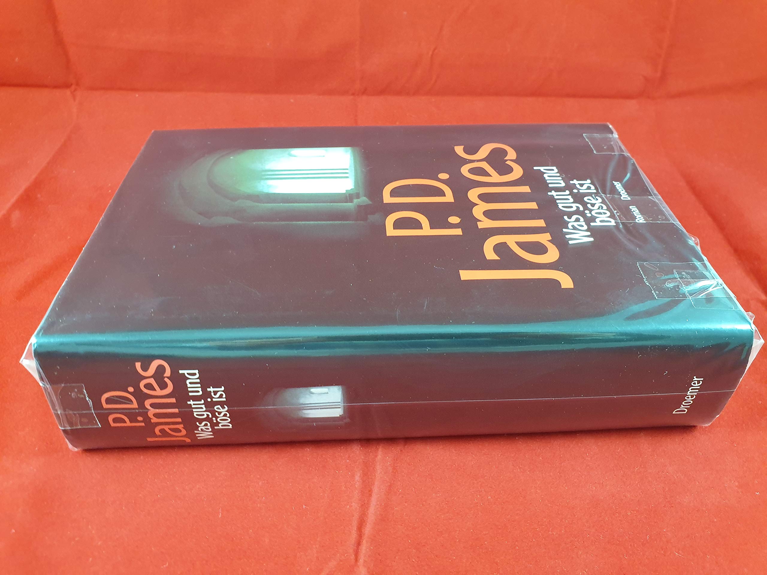 Was gut und böse ist: Roman Contemporary literature
