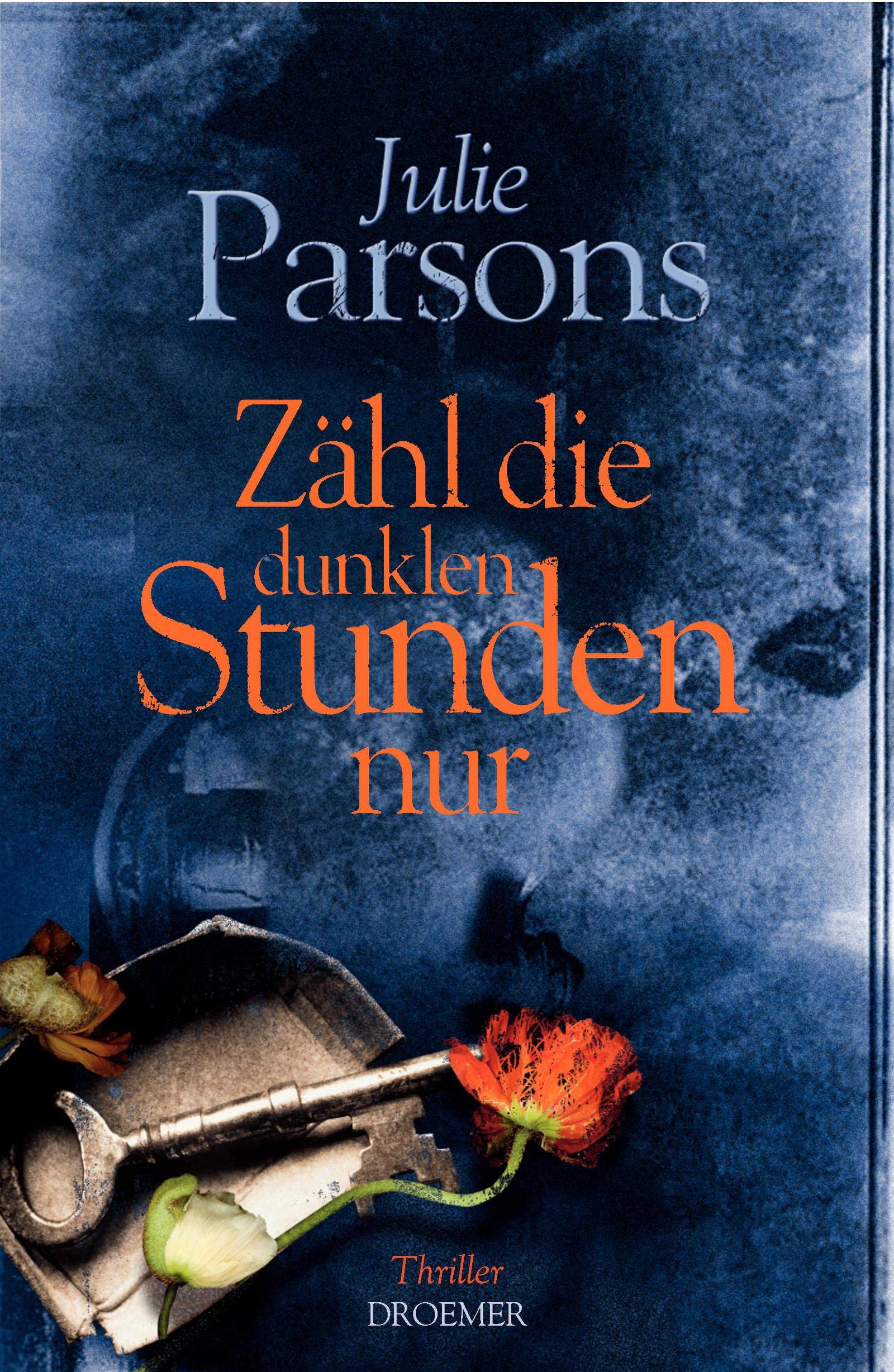 Zähl die dunklen Stunden nur: Roman Contemporary literature