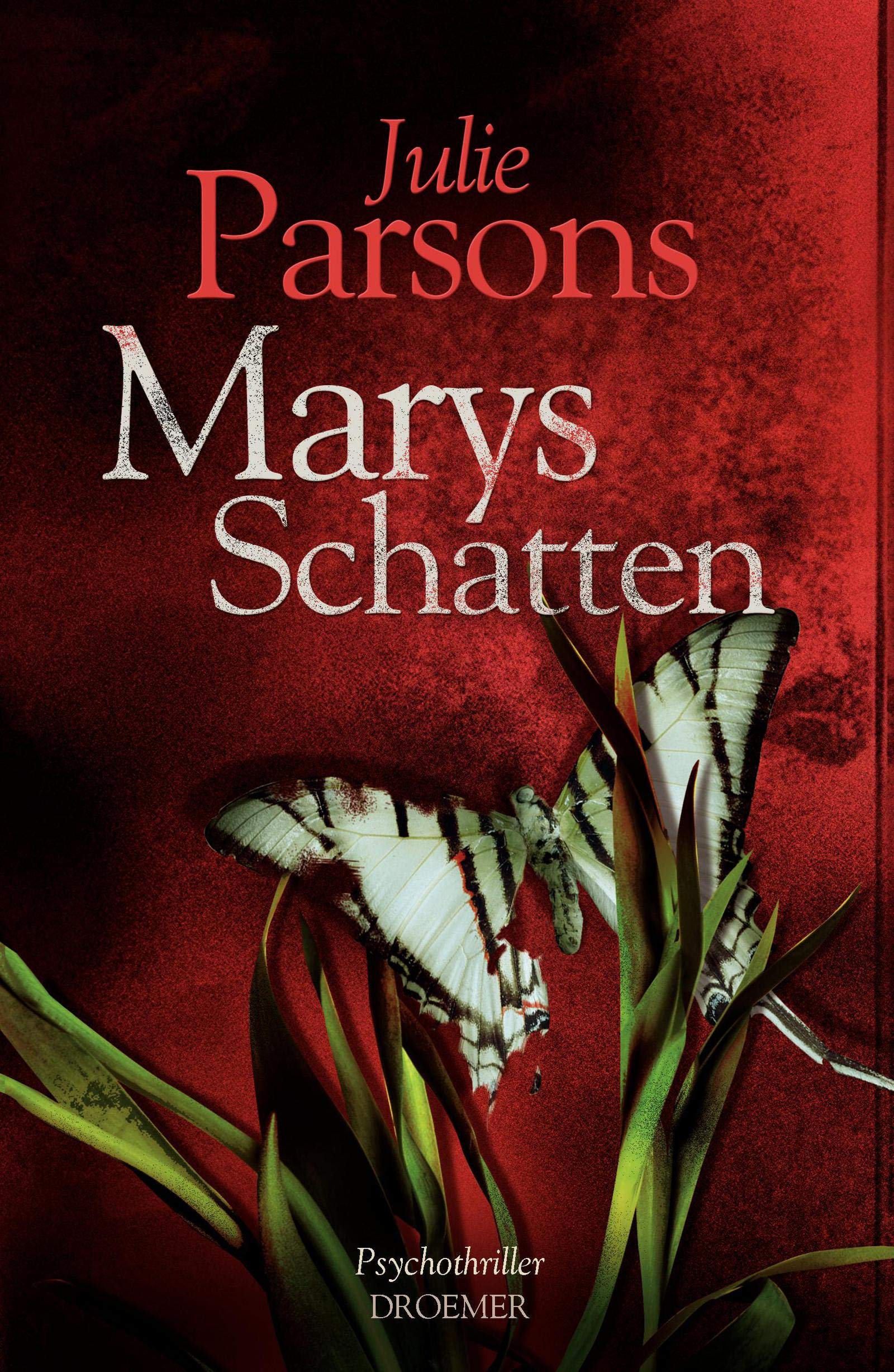 Marys Schatten: Psychothriller Contemporary literature