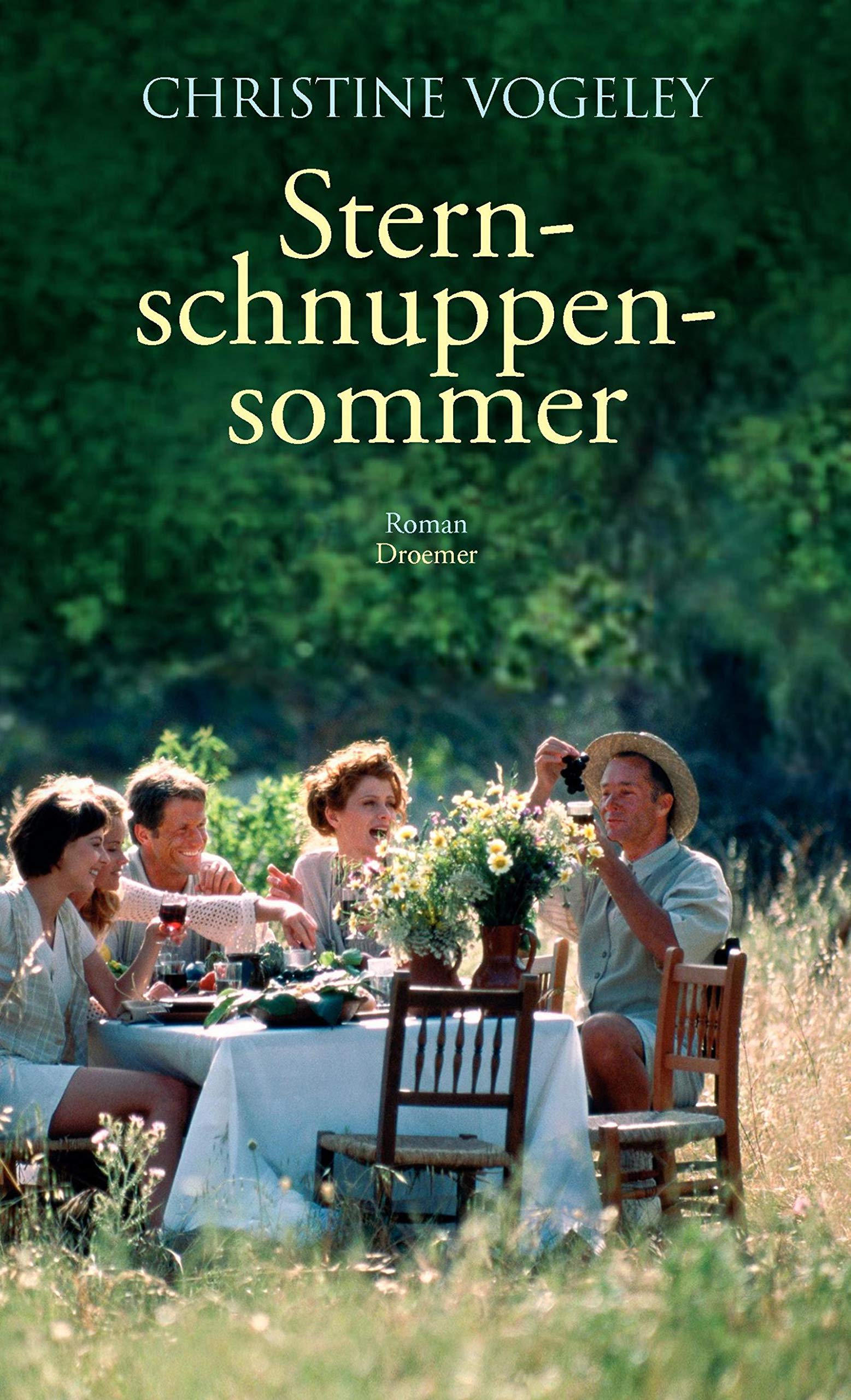 Sternschnuppensommer Contemporary literature