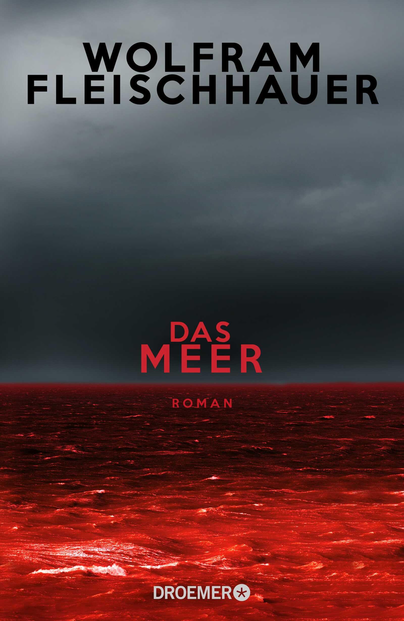 Das Meer Contemporary literature