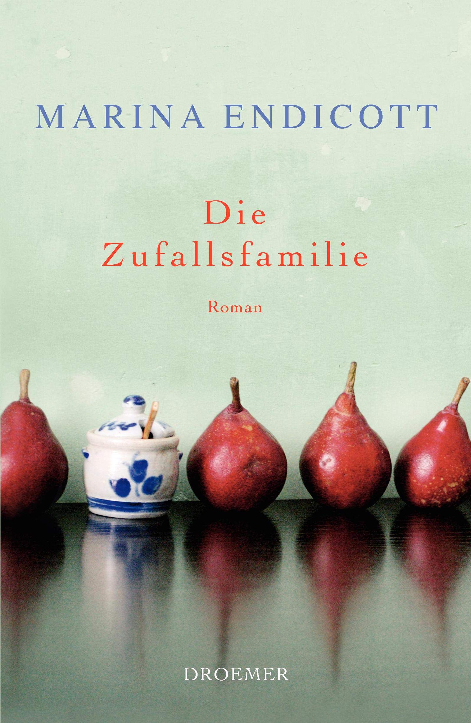 Die Zufallsfamilie: Roman Contemporary literature