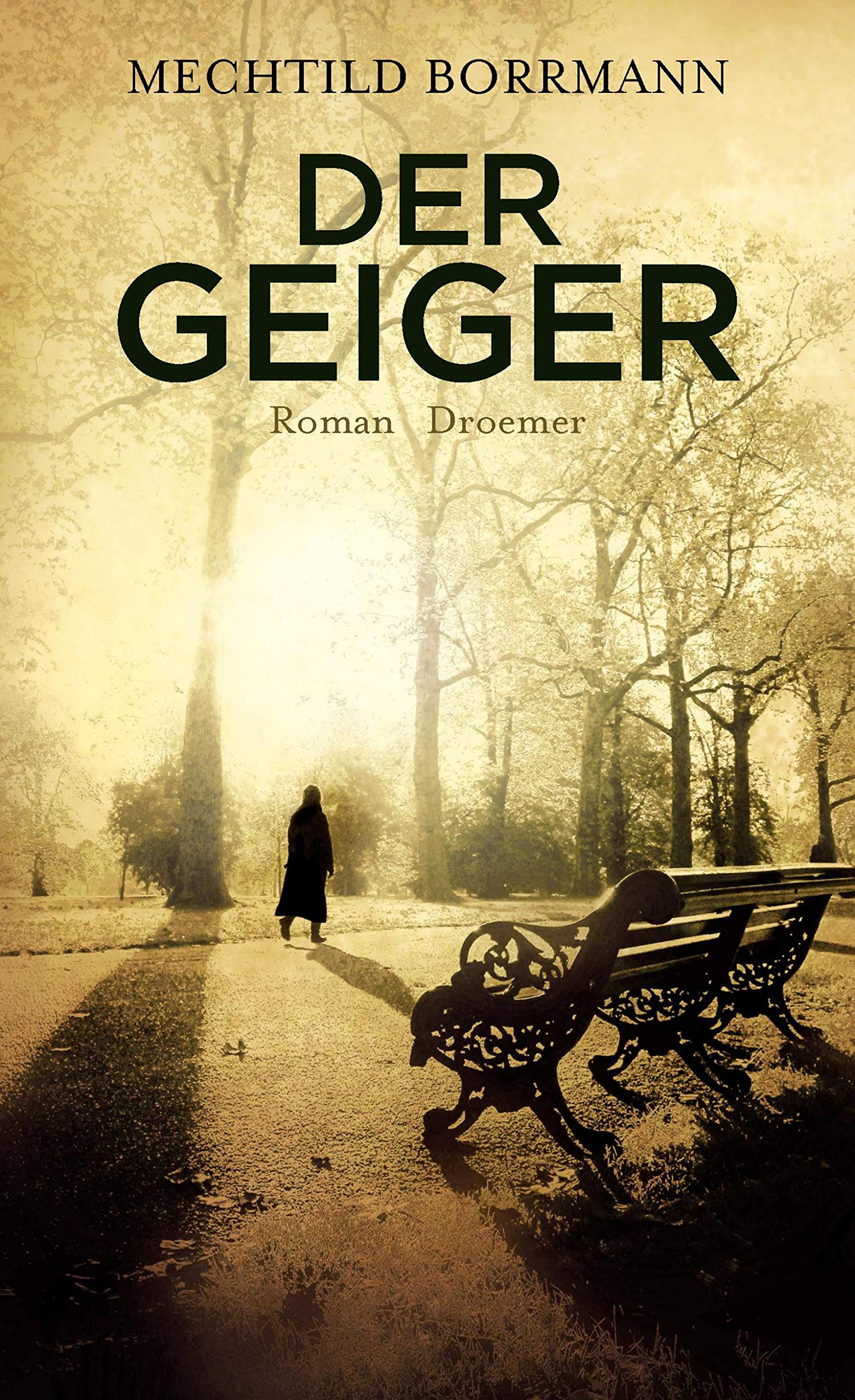 Product Image: Der Geiger: Roman
