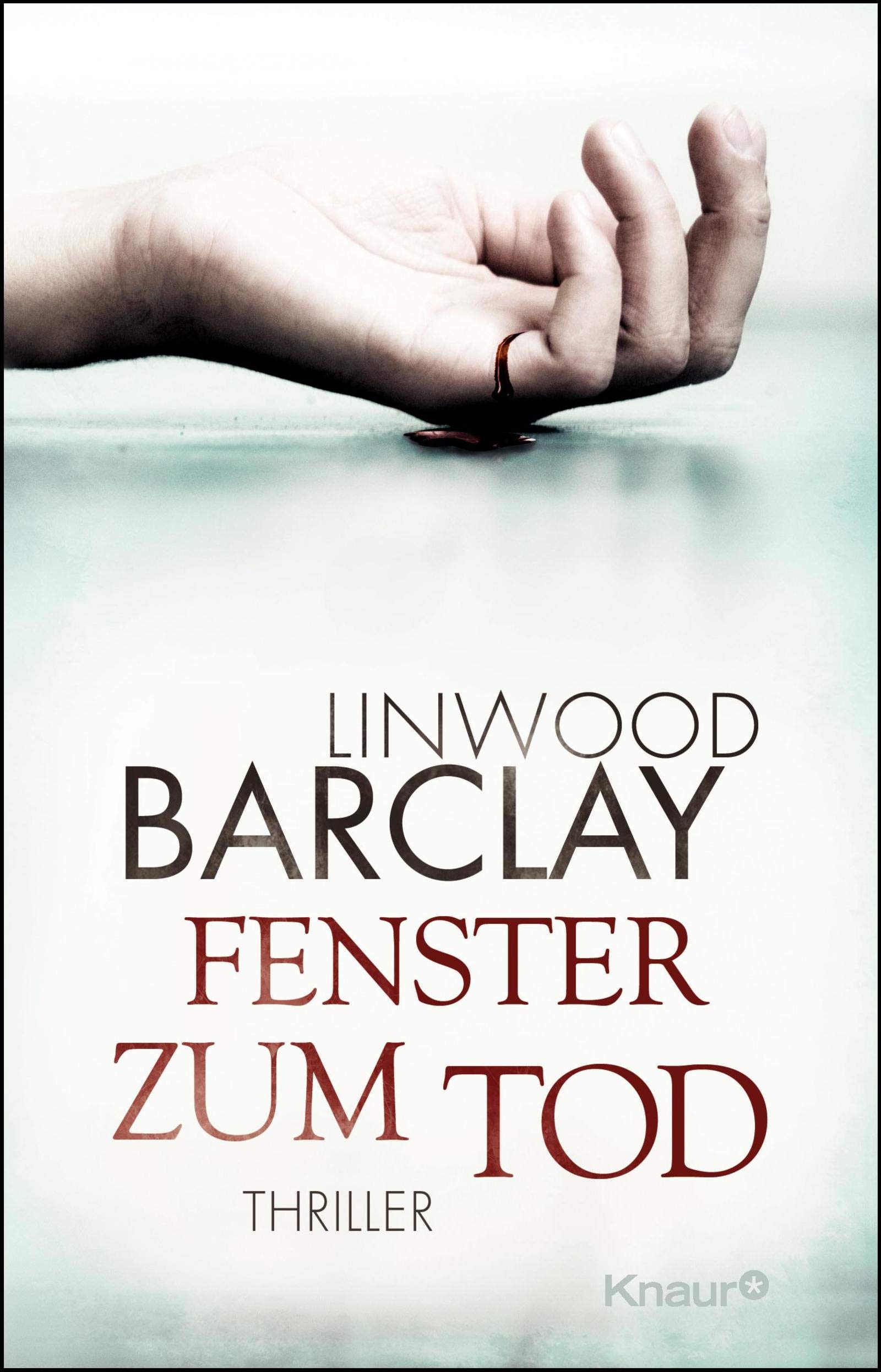 Fenster zum Tod: Thriller Contemporary literature